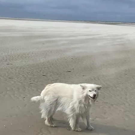Stella Mare Charmante Maison Proche Du Touquet 쿠크