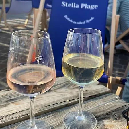 펜션 Stella Mare Charmante Maison Proche Du Touquet