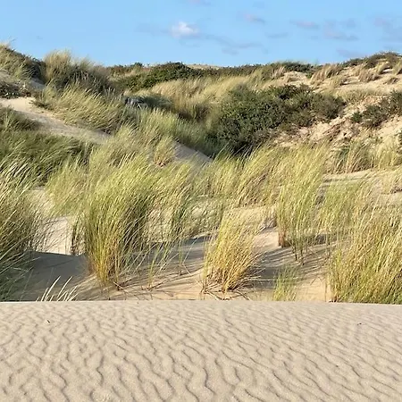 Stella Mare Charmante Maison Proche Du Touquet * Cucq