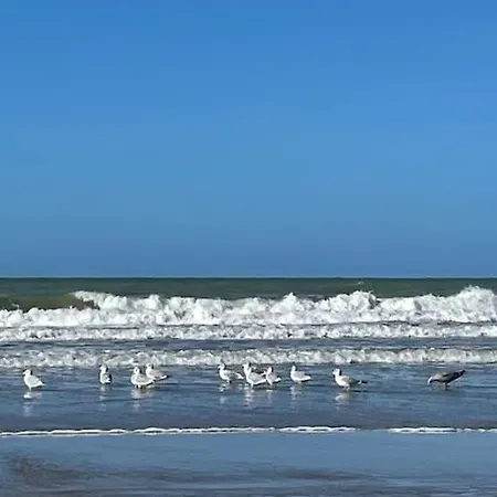 Stella Mare Charmante Maison Proche Du Touquet Holiday home