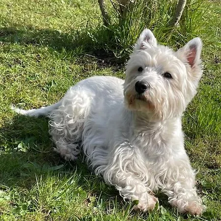 Stella Mare Charmante Maison Proche Du Touquet Holiday home Cucq