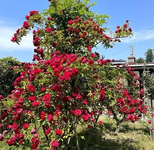 Charmante Maison Individuelle Proche Du Touquet *