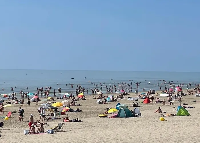 Charmante Maison Individuelle Proche Du Touquet